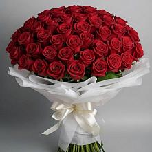 Букет 101 Красная роза Блэк Мэджик в Советском Ханты-Мансийского АО