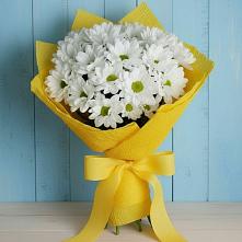 Букет цветов из:  Хризантемы в Советском Ханты-Мансийского АО
