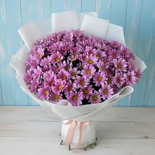 Букет цветов из:  Хризантемы в Советском Ханты-Мансийского АО