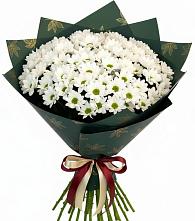 Букет цветов из:  Хризантемы в Советском Ханты-Мансийского АО