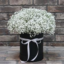 Цветочная композиция из Гипсофила в шляпной коробке в Советском Ханты-Мансийского АО