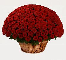 Премиум букет из: Розы в Советском Ханты-Мансийского АО